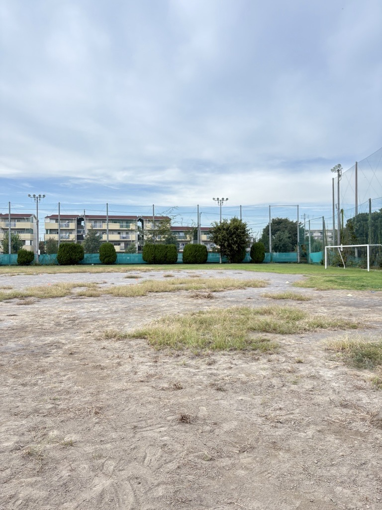 Image - 2025-10-10T100551.849